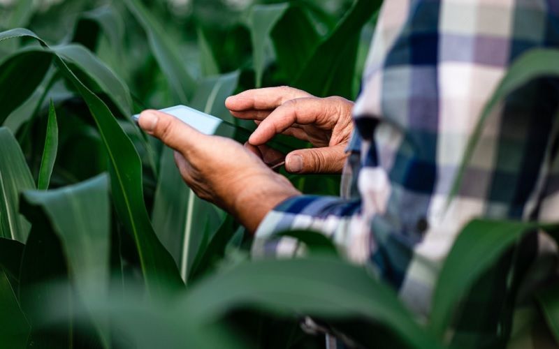 德国牛奶价格下跌导致农民利润每千克减少14.8分