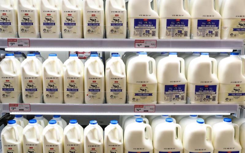 Coles увеличивает выплаты за молоко на фоне роста затрат в молочной отрасли Австралии