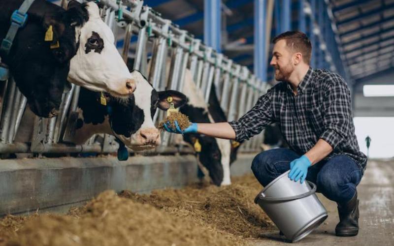 Crisis in the Countryside: Young Farmers from Veracruz Migrate to the U.S.