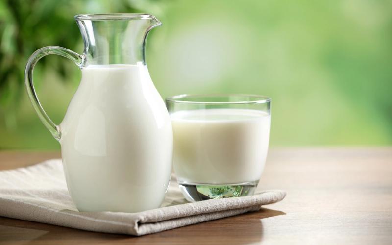 Scientists Teach E. coli to Produce Casein — Cow-Free Milk Protein Becomes a Reality