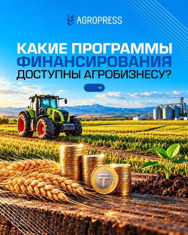 Агрокредитование в Казахстане: ставки от 5% и инвестиционные займы до 15 млрд тенге