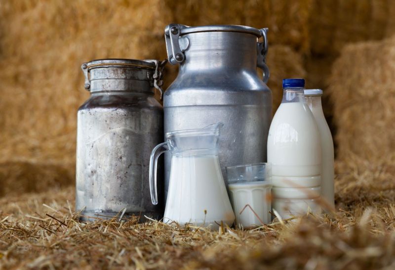 Jammu and Kashmir Increases Milk Prices to Support Dairy Farmers