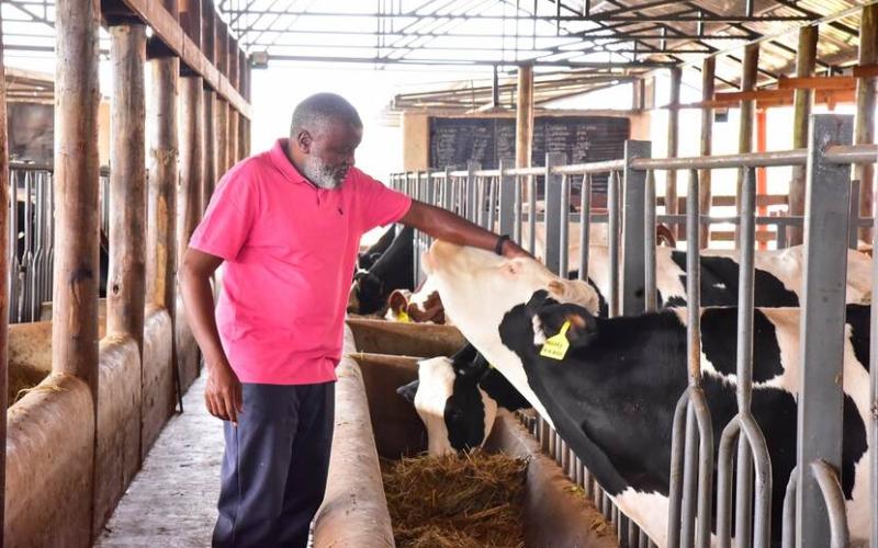 Kenya Development Corporation Boosts Dairy Sector with $4.5 Million Loan