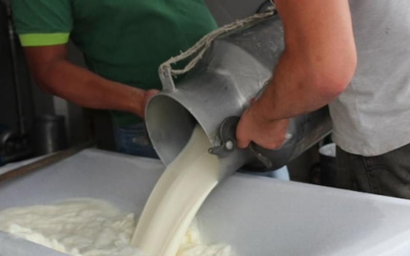 La producción lechera en Olancho cae un 50%, impactando al sector hondureño