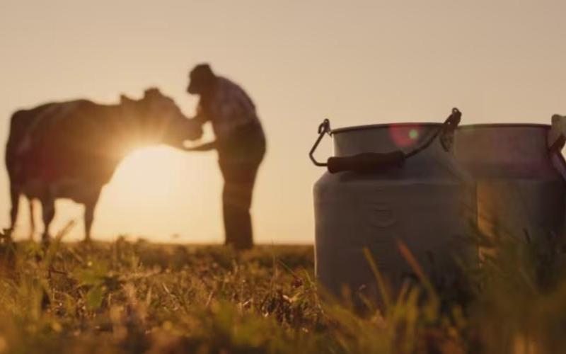 UK Dairy Farmers Urged to Provide Feedback on Milk Pricing Regulations