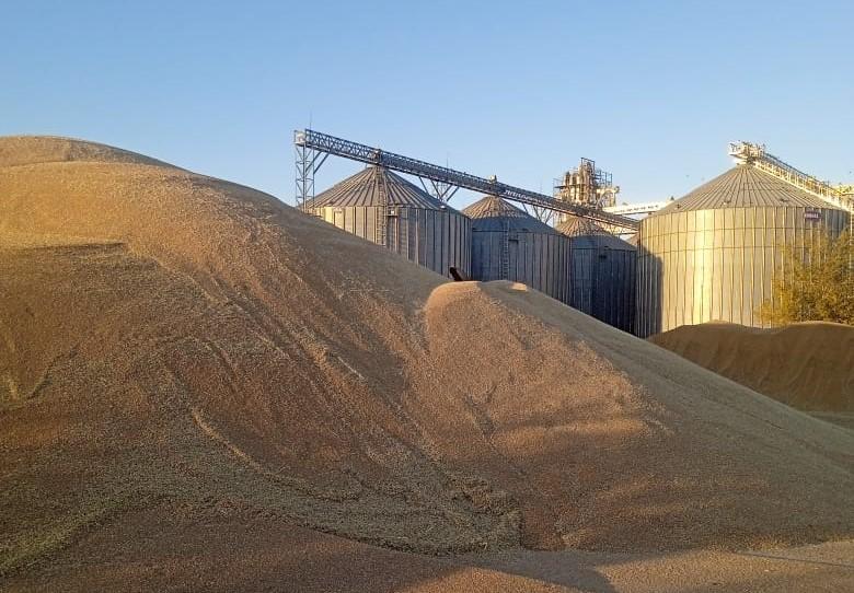 Костанайская область Казахстана планирует масштабное развитие агросектора