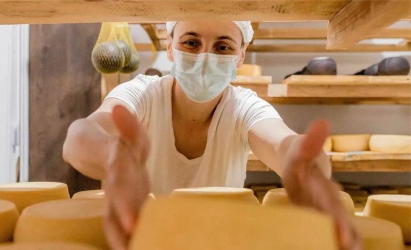 Los productores de leche de Paraná encuentran estabilidad en la producción de queso