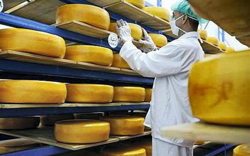 Russian Cheese Exports Increase by 13%