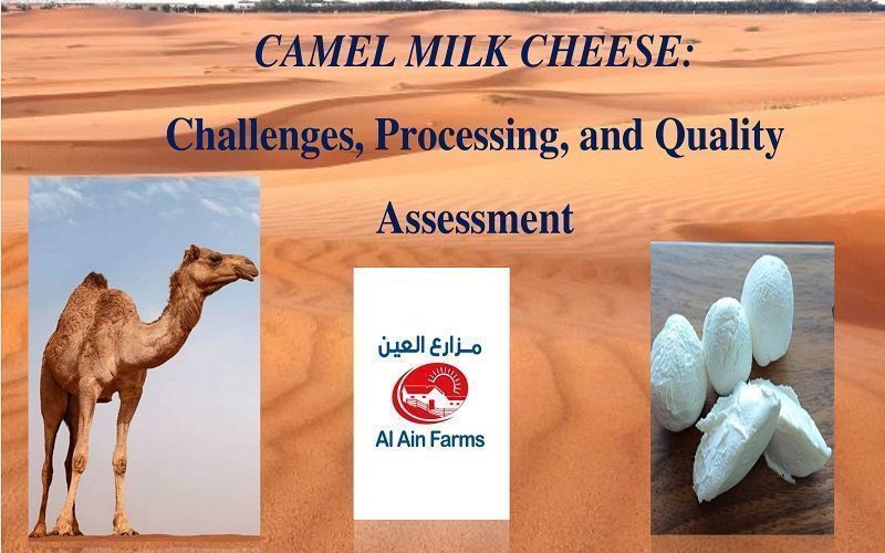 عرض تقديمي من تاتيانا بالابانوفا، أستاذة مساعدة، دكتوراه، جامعة تكنولوجيا الأغذية (بلغاريا). أولمبياد الألبان 2025