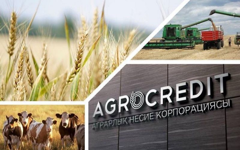 Казахстан: Объем финансирования по линии Аграрной кредитной корпорации составит 350 млрд тенге