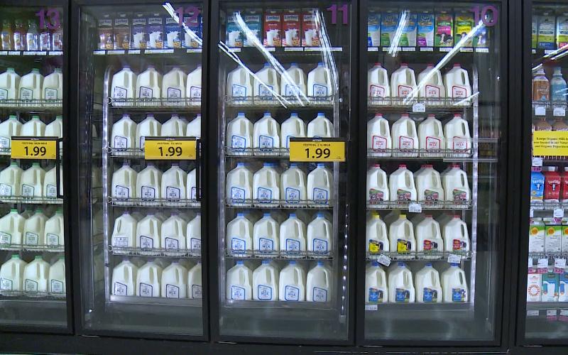 Миссисипи запрещает продажу выращенной в лаборатории молочной продукции