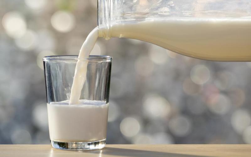 First Milk mantiene el precio de la leche en mayo de 2026 en medio de cambios en la industria