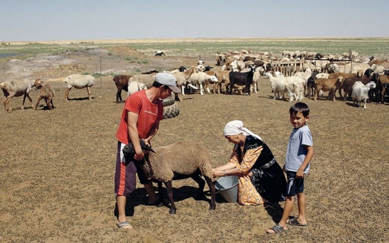 Овечий курт и масло: как в ауле Аққайнар возрождают забытый вкус традиционной казахской кухни