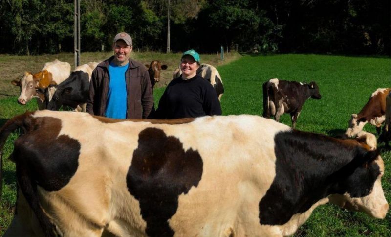 Family Farm Boosts Milk Production by 233% Using Management Changes