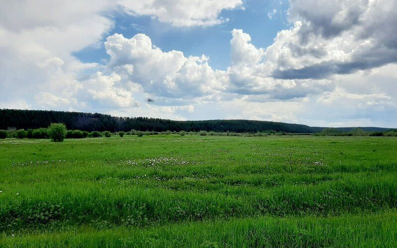 В Казахстане усиливается контроль за производством и оборотом органической продукции