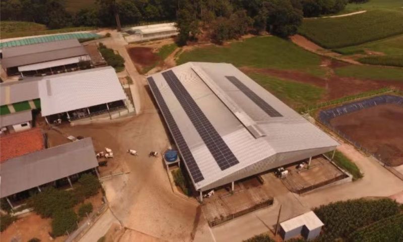 The Wacherski farm has never used financing in Paraná