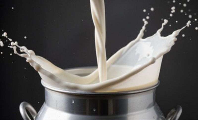 Mato Grosso do Sul's Dairy Industry Operates Below Capacity