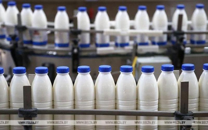 Belaruslu Süt Üreticileri Mısır'a İhracatı Artıracak