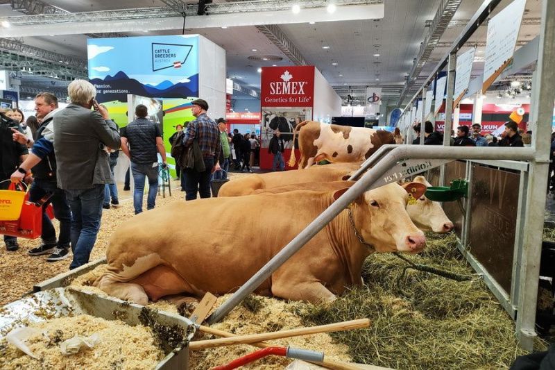 Международный интерес к выставке EuroTier 2026 значительно возрос