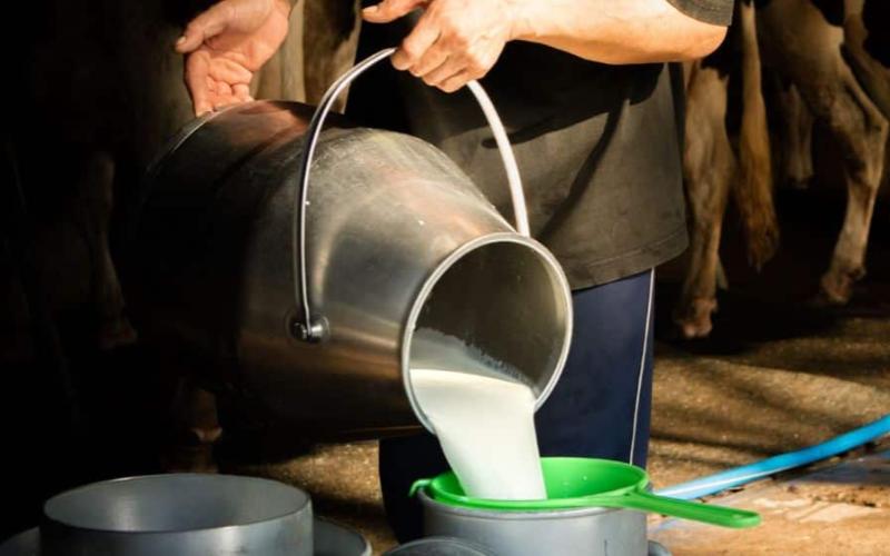 Punjab Food Authority Cracks Down on Dairy Adulteration in Lahore