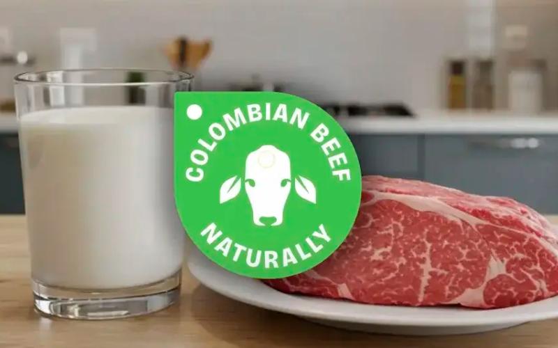 Fedegán ve FEP Kolombiya Et ve Sütünü Küresel Olarak Tanıtmak İçin Kampanya Başlattı