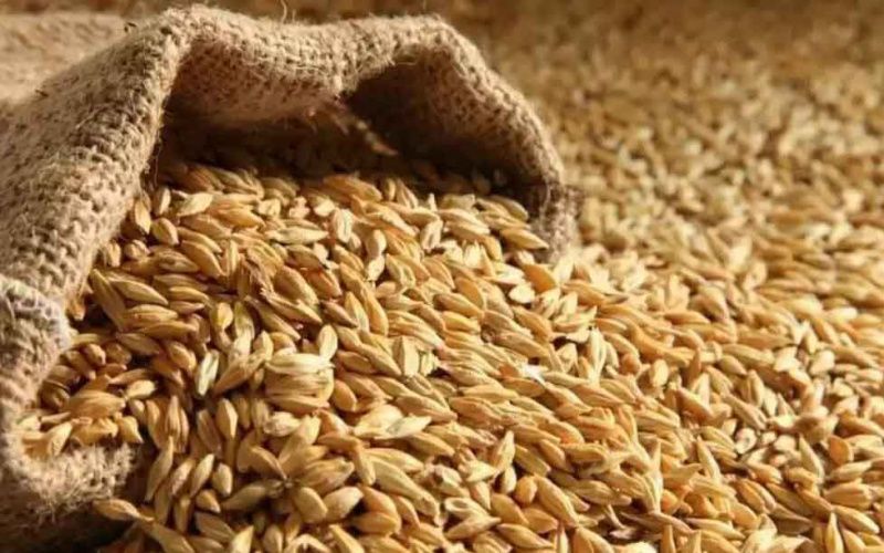 Минсельхоз Казахстана прогнозирует снижение экспорта зерна на 40%