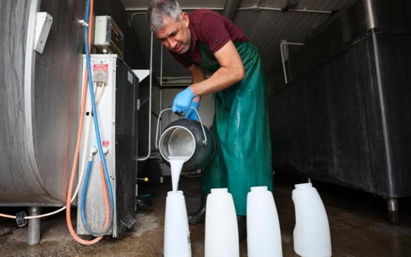 The Formation of the Association of Dairy Producer Organisations: A New Voice for British Farmers