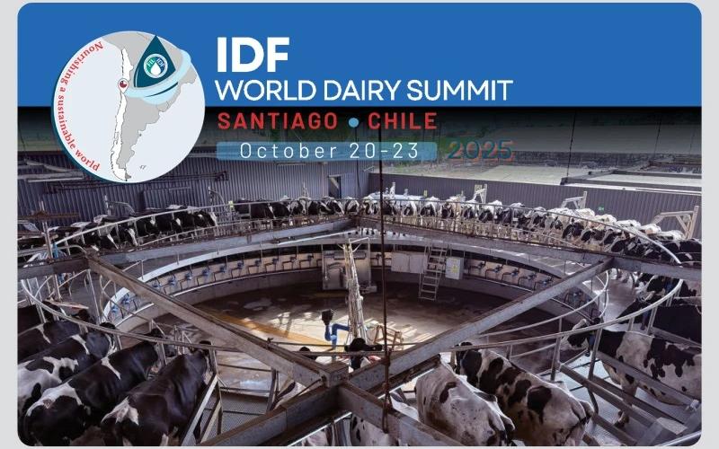 Ключевые выводы с Всемирного саммита молочной промышленности IDF 2025 по декарбонизации Ключевые выводы с Всемирного саммита молочной промышленности IDF 2025 по декарбонизации