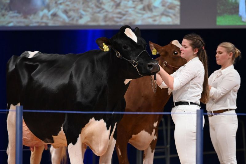 Milky Way Dairy Exhibition Area to Debut at EuroTier 2026