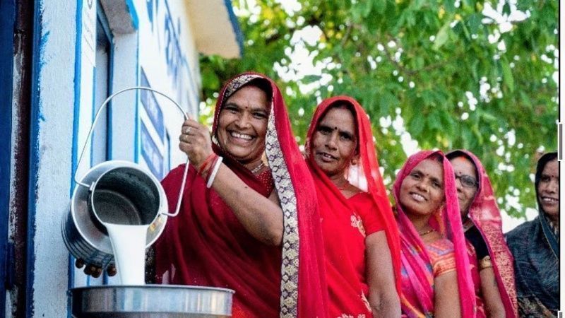 Uttar Pradesh'te Kadınlar 5,716 Crore Rupi Değerindeki Süt Ağına Liderlik Ediyor