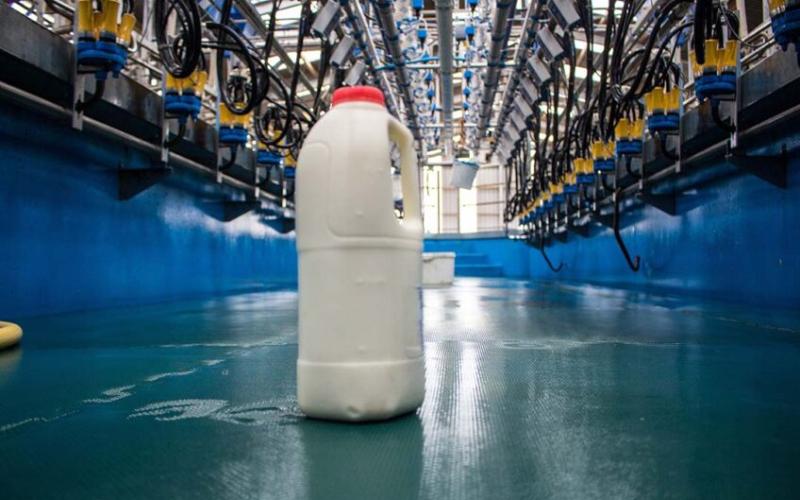 Irish Dairy Processors Face Structural Changes Amid Declining Milk Production