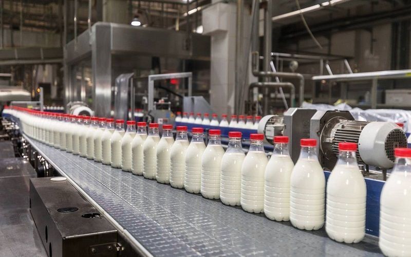 Uruguayan Dairies: The Future After Calcar's Closure