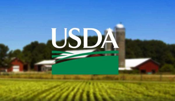 USDA Reports Gains in December Dairy Product Production