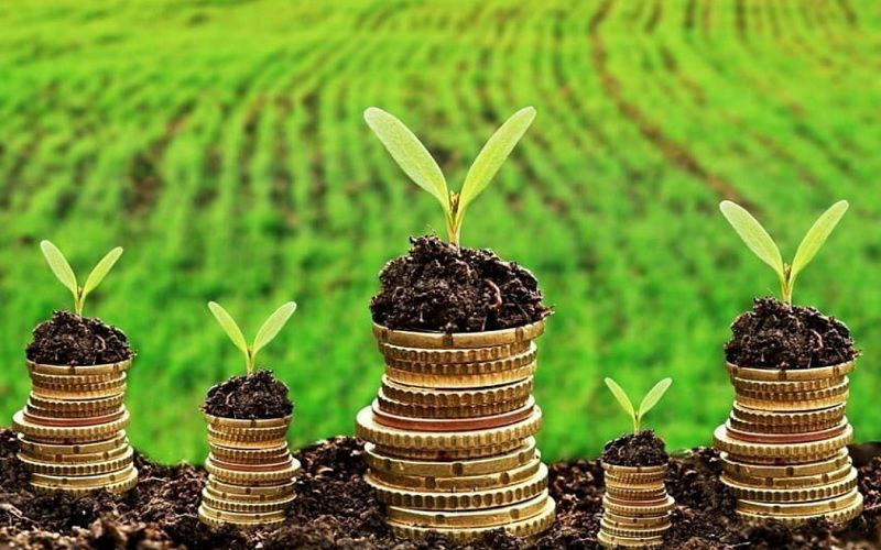 Yenilik Açığı: Kanada Çiftliklerinin Neden Yeni Bir Finansal Araç Setine İhtiyacı Var