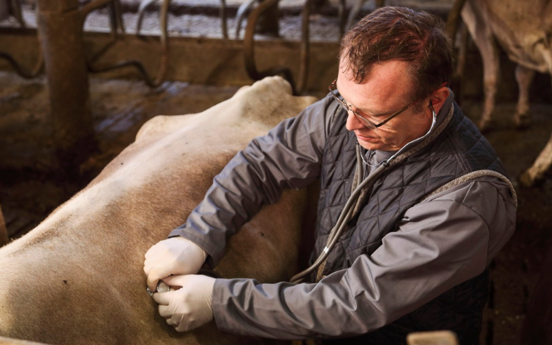 smaXtec Announces Leadership Changes Amidst Global Expansion in Dairy Health Monitoring