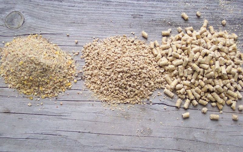 Feed Production in Russia May Reach 40 Million Tons by 2030