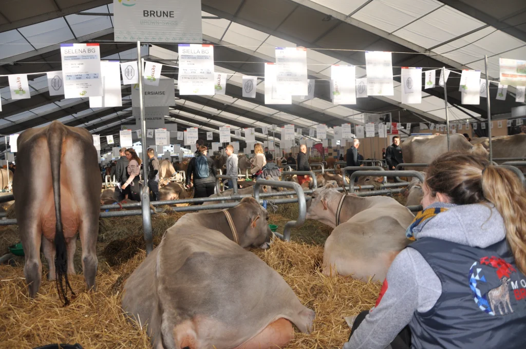 Sommet de l’Élevage Opens Dedicated Animal Health Area