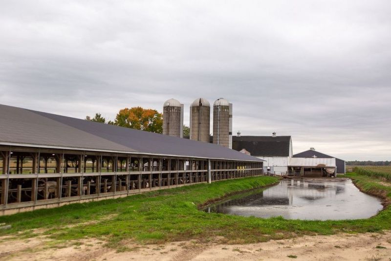 U.S. Dairy Groups Challenge EU Sustainability Rules