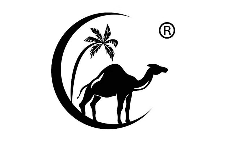Birmingham Hosts Global Camel Milk Thought Leader for Cultural Health Forum