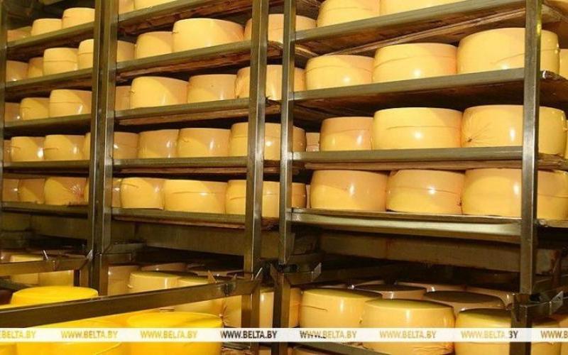 Беларусь доминирует в импорте молочной продукции в Россию с долей в 94%