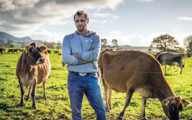 AI Revolutionizes Organic Dairy: Farmers Vouch for New Teat Sprayer