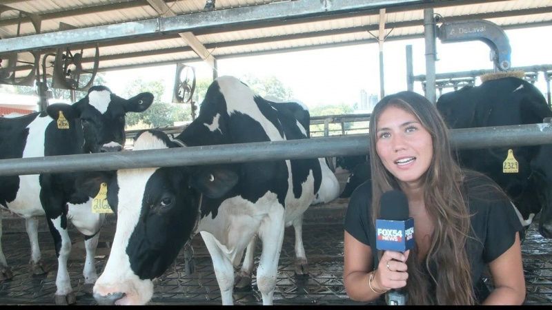 Hickory Hill Dairy's Strategy Amidst South Carolina's Dairy Decline