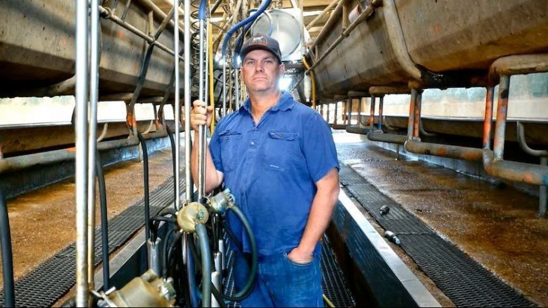 Processors end milk contracts as dairy farms face exits