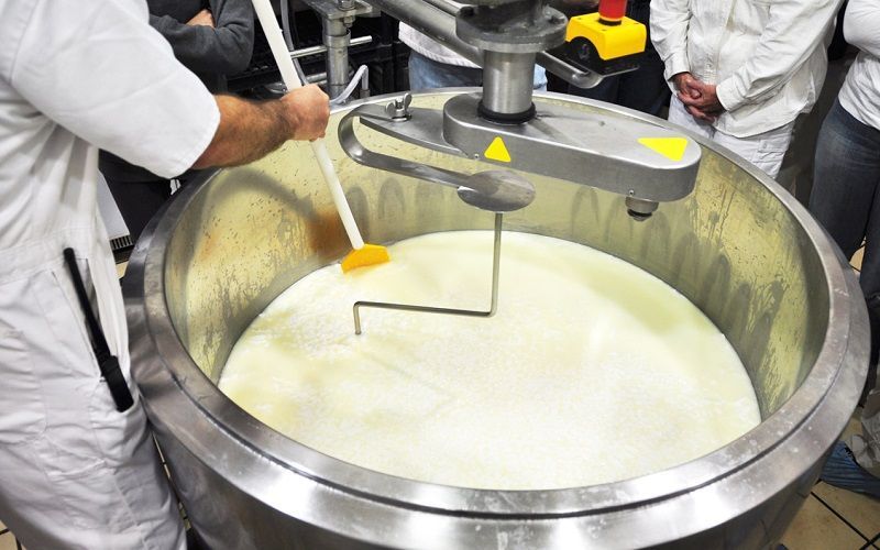 Top Brazilian dairies collected 10.8 billion liters of milk in 2024