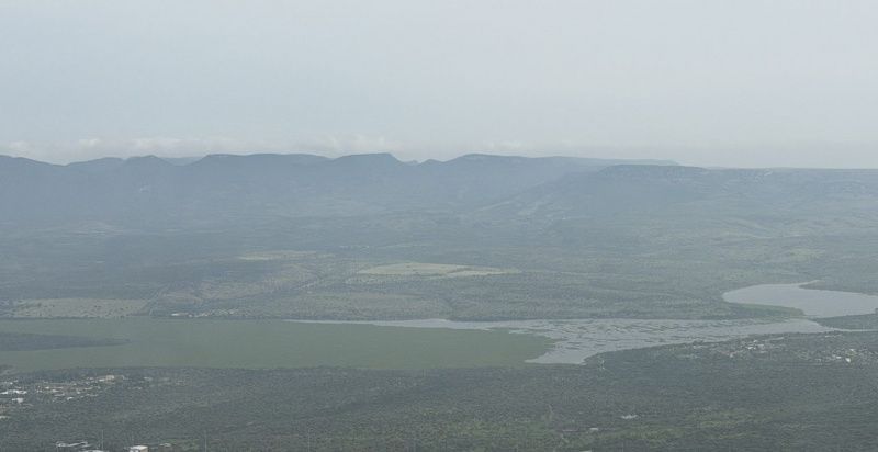 Inagua Examines Possible Dairy Link to Water Hyacinth in Aguascalientes