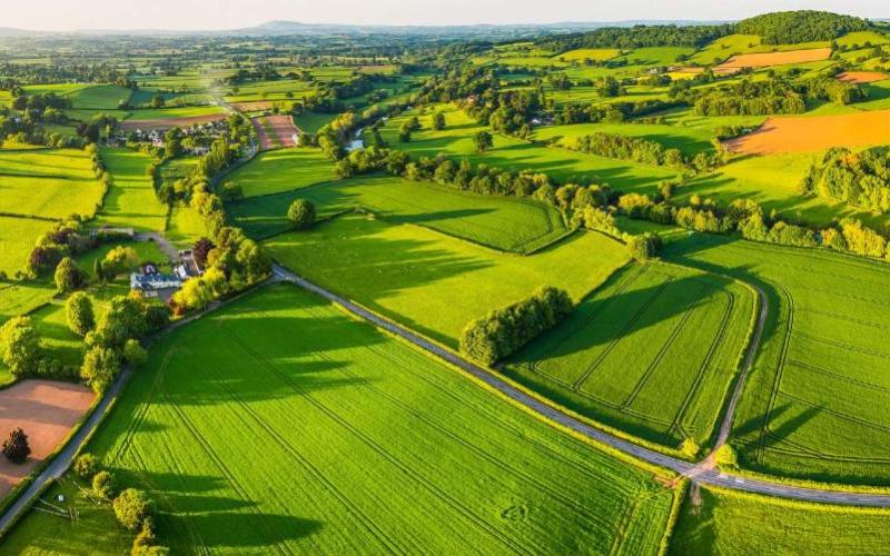 Farmland Prices Defy Gravity Amid Commodity Drop