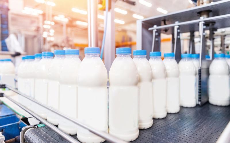 Dominican Republic Bets on Milk Exports