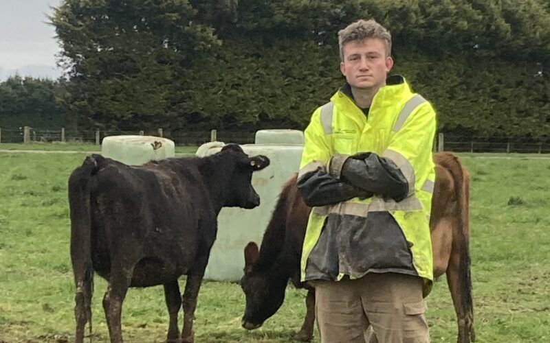 Nueva Zelanda lanza premios lecheros con apoyo financiero para jóvenes agricultores