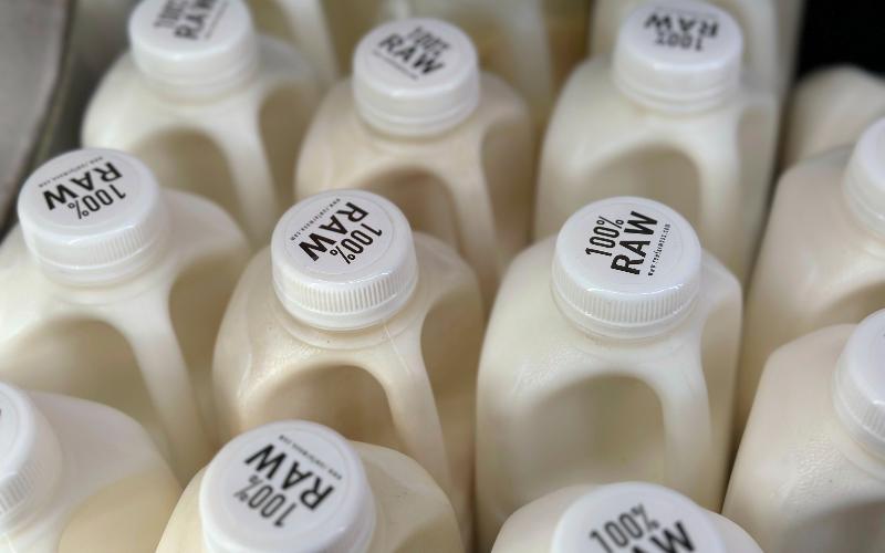 Brote de H5N1 afecta a la industria de lácteos de leche cruda en California