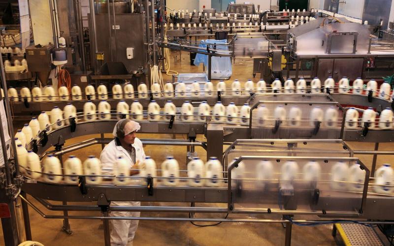 Entre Ríos'ta Mali Çalkantı: Süt Ürünleri Şirketi Eleştirilerin Hedefinde